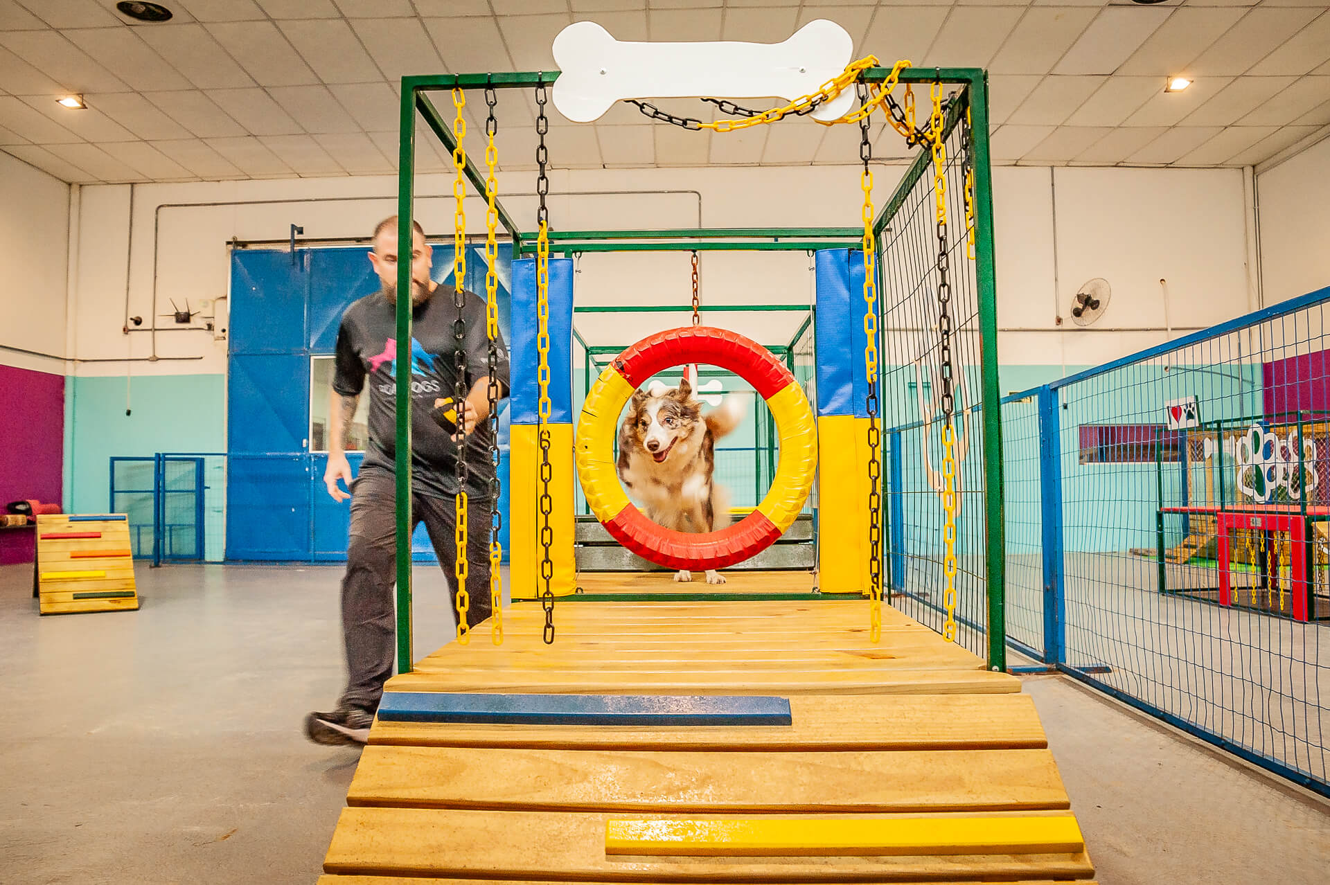 Agility