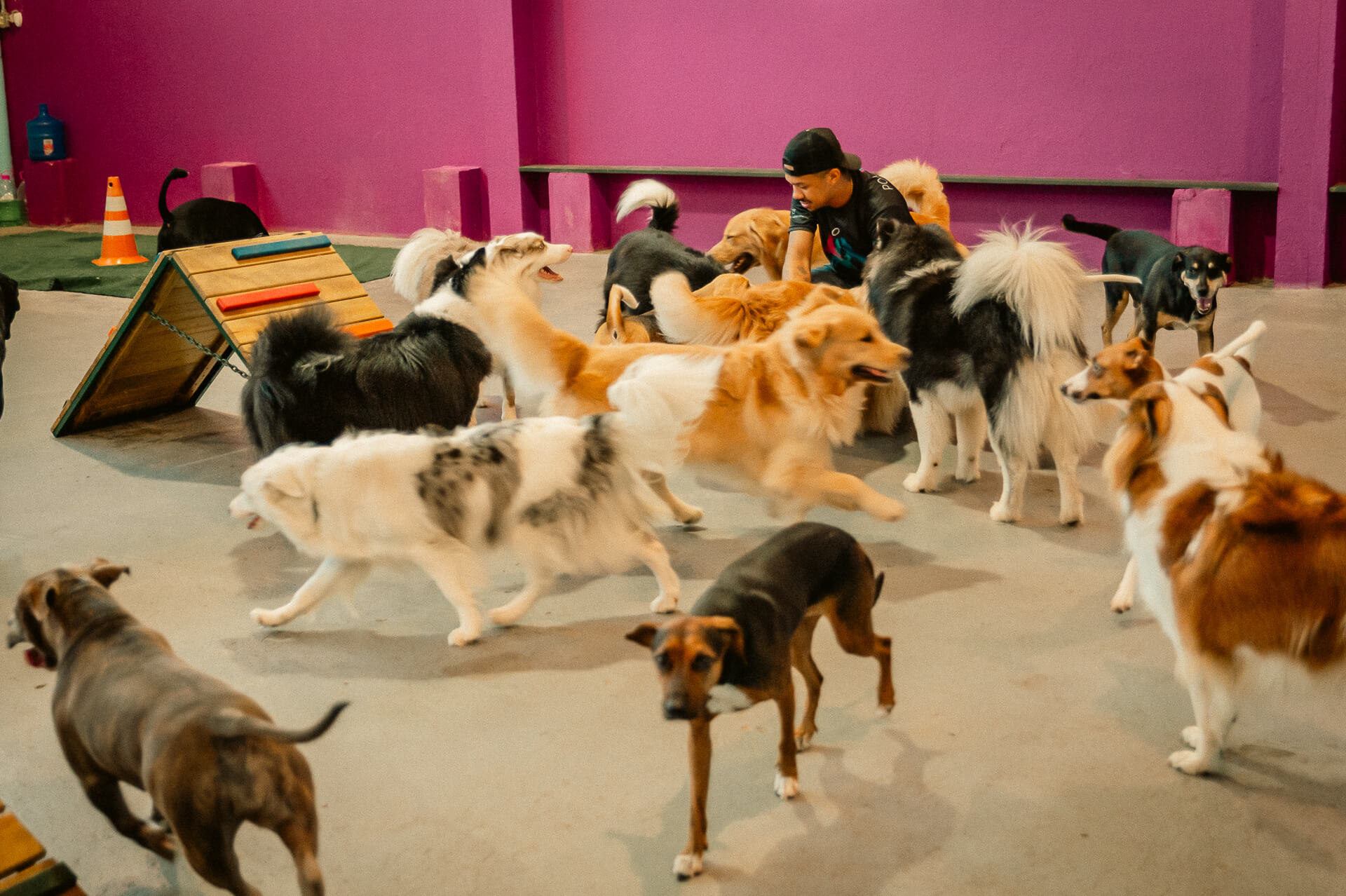 Creche